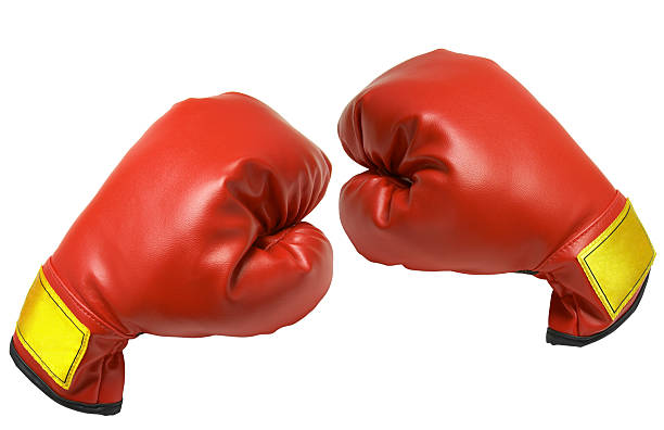 Quelle est la meilleure marque de gants de boxe ?