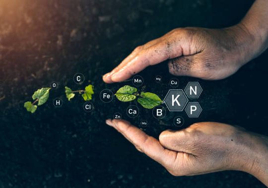 Comment calculer ses apports quotidiens en macronutriments ?