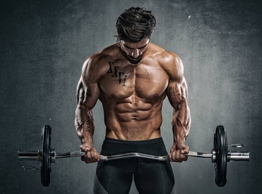 Quoi choisir pour optimiser ses résultats en musculation ?