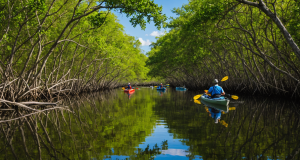 Floride nature : Everglades et aventures proches