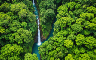 Tyroliennes – cascades et canyons : adrénaline nature